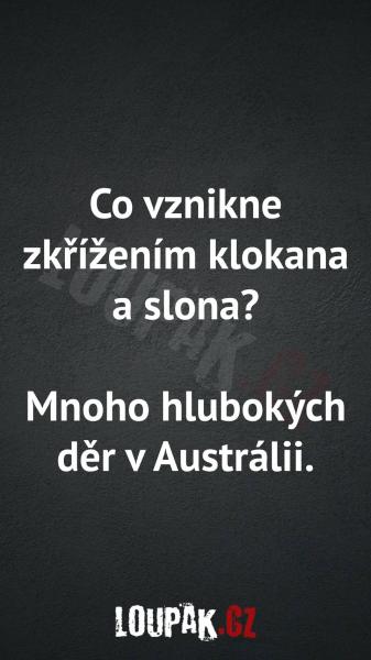     OBRÁZKY – Naše MEME #2002    