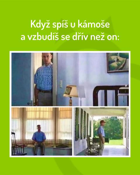     OBRÁZKY – Naše MEME #2003    