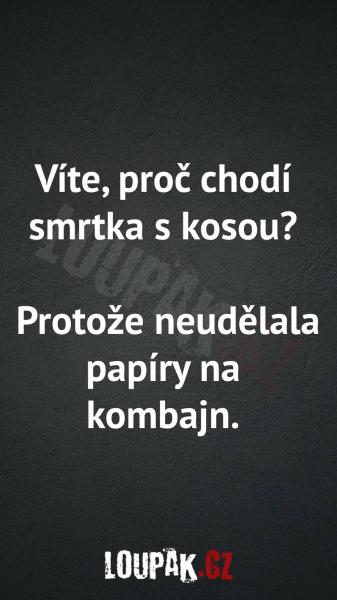     OBRÁZKY – Naše MEME #2004    