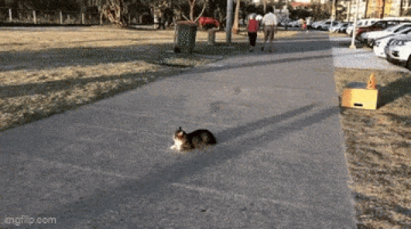     OBRÁZKY pro dnešní den 4990. díl    