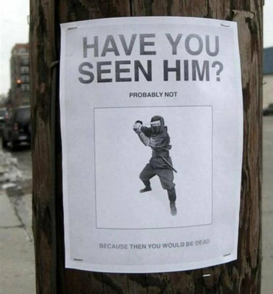     OBRÁZKY – Zajímavosti ze světa 2110. díl    