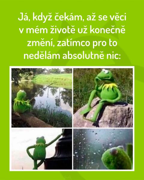    OBRÁZKY – Naše MEME #2012    