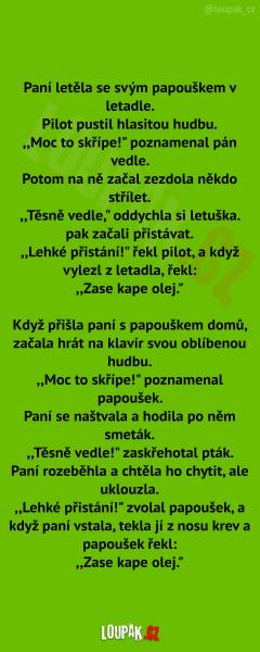     OBRÁZKY – Naše MEME #2015    