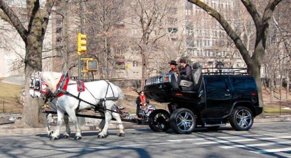     OBRÁZKY – Zajímavosti ze světa 2116. díl    