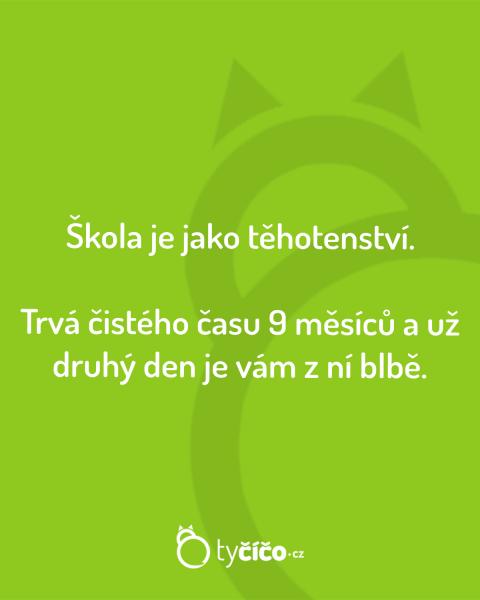     OBRÁZKY – Naše MEME #2038    