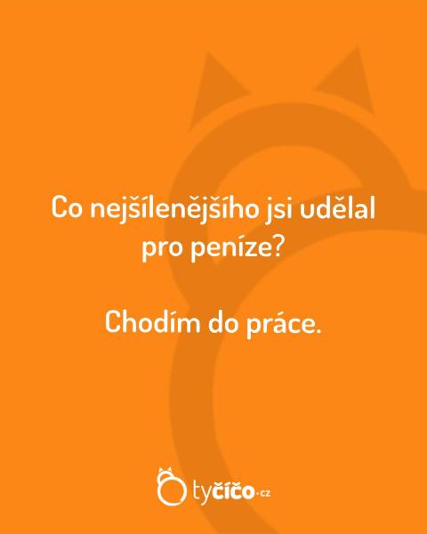     OBRÁZKY – Naše MEME #2043    