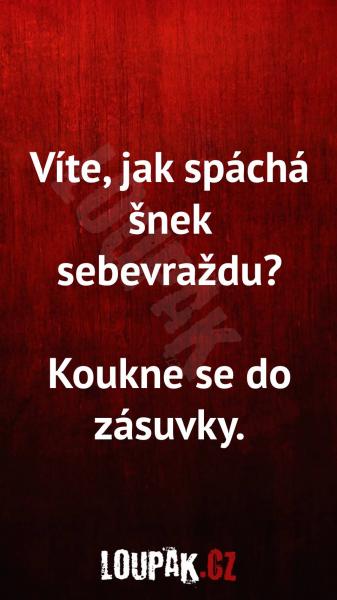     OBRÁZKY – Naše MEME #2045    