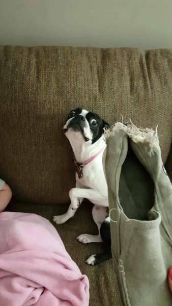     OBRÁZKY – Zajímavosti ze světa 2127. díl    