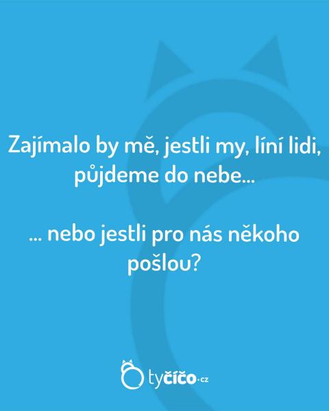     OBRÁZKY – Naše MEME #2047    