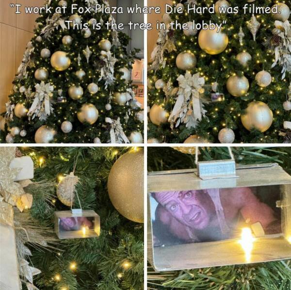     OBRÁZKY – Zajímavosti ze světa 2128. díl    