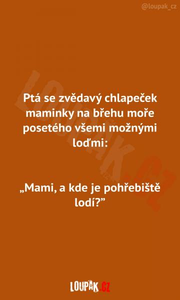     OBRÁZKY – Naše MEME #2055    