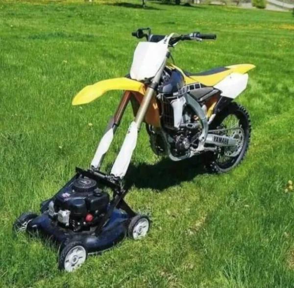     OBRÁZKY – Zajímavosti ze světa 2131. díl    