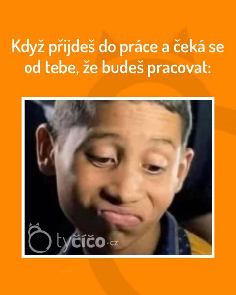     OBRÁZKY – Naše MEME #2070    