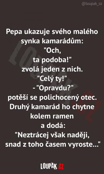     OBRÁZKY – Naše MEME #2084    