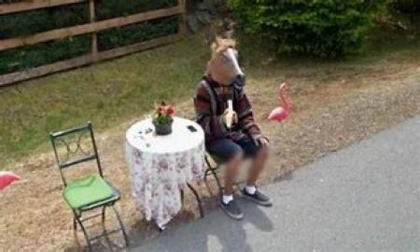     OBRÁZKY – Zajímavosti ze světa 2143. díl    