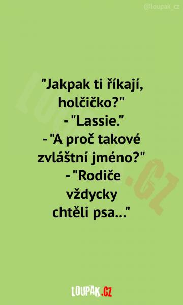     OBRÁZKY – Naše MEME #2091    