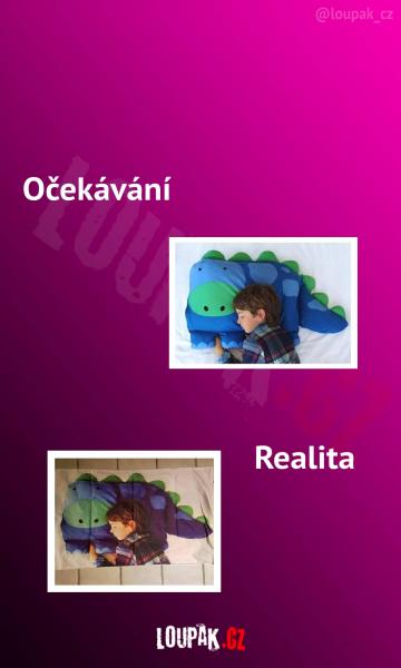     OBRÁZKY – Naše MEME #2095    