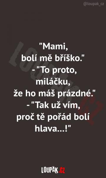     OBRÁZKY – Naše MEME #2098    