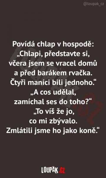     OBRÁZKY – Naše MEME #2103    