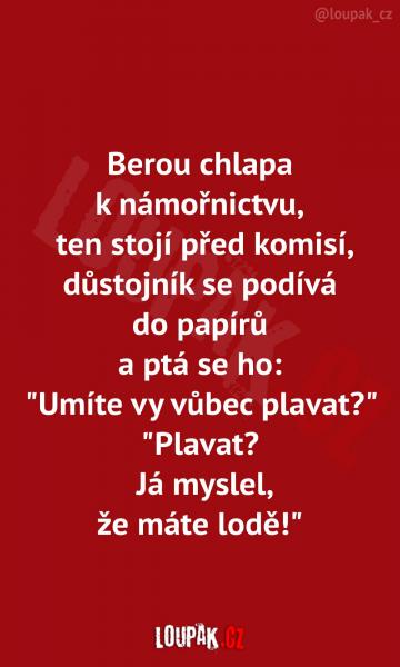     OBRÁZKY – Naše MEME #2104    