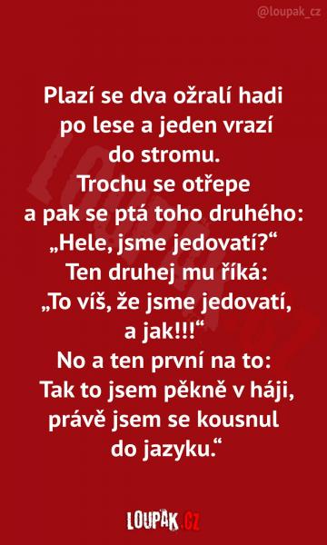     OBRÁZKY – Naše MEME #2106    