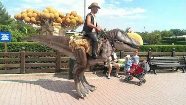     OBRÁZKY – Zajímavosti ze světa 2153. díl    