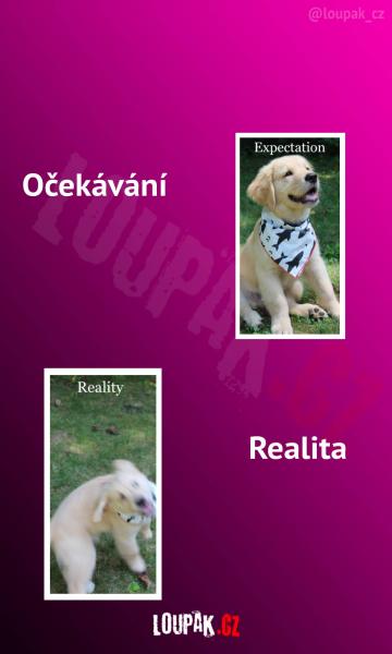     OBRÁZKY – Naše MEME #2107    