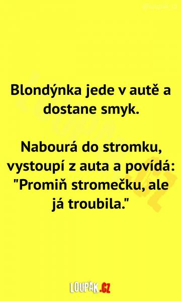     OBRÁZKY – Naše MEME #2109    