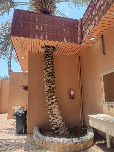     OBRÁZKY – Zajímavosti ze světa 2154. díl    