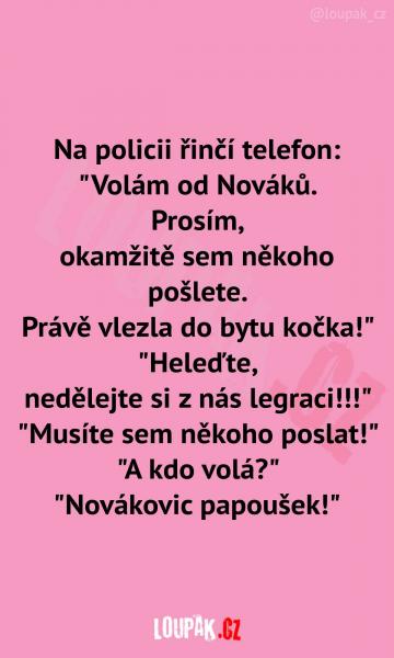     OBRÁZKY – Naše MEME #2112    