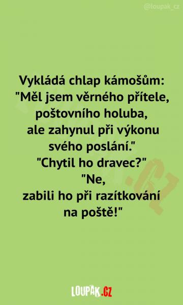     OBRÁZKY – Naše MEME #2114    