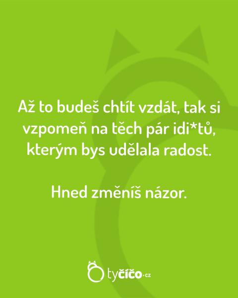     OBRÁZKY – Naše MEME #2115    