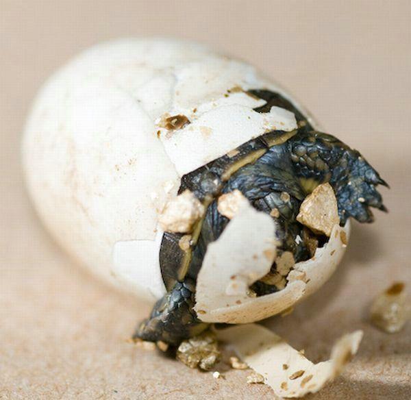             GALERIE – Roztomilé maličkosti            