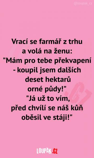     OBRÁZKY – Naše MEME #2116    