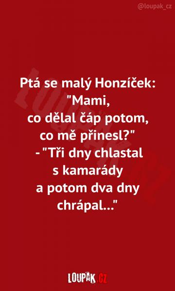     OBRÁZKY – Naše MEME #2126    