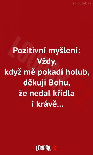     OBRÁZKY – Naše MEME #2154    