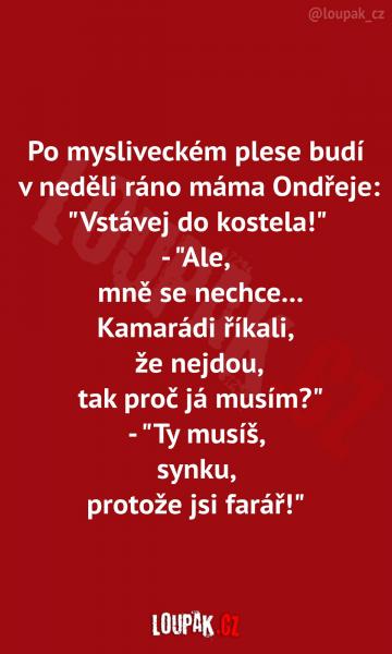     OBRÁZKY – Naše MEME #2161    