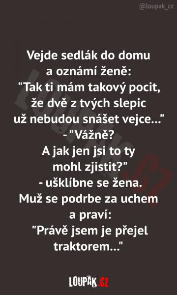     OBRÁZKY – Naše MEME #2165    