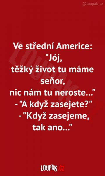     OBRÁZKY – Naše MEME #2188    