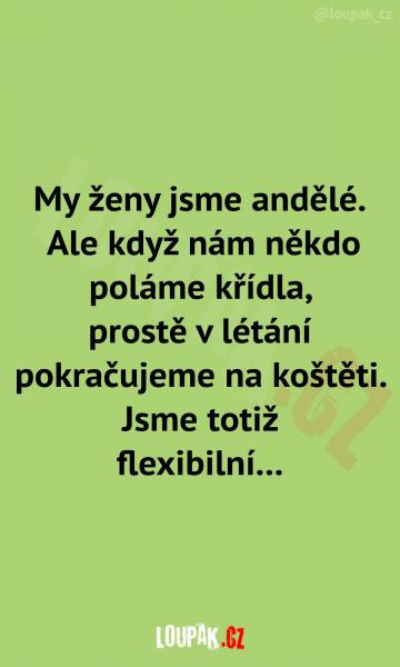     OBRÁZKY – Naše MEME #2191    