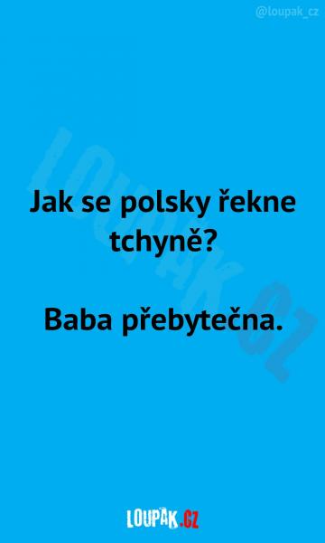     OBRÁZKY – Naše MEME #2204    