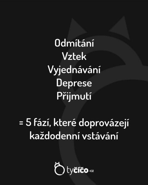     OBRÁZKY – Naše MEME #2211    