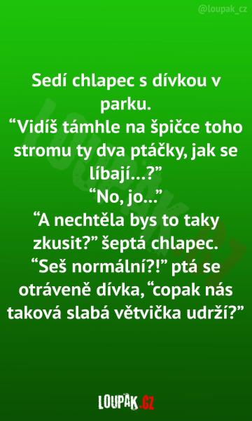     OBRÁZKY – Naše MEME #2212    