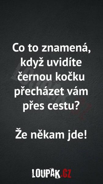     OBRÁZKY – Naše MEME #2213    