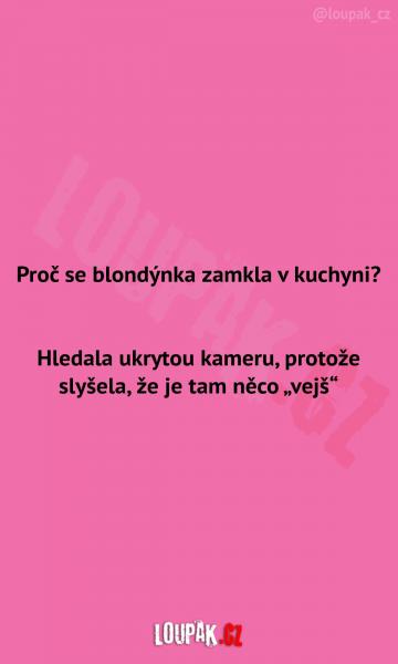     OBRÁZKY – Naše MEME #2215    
