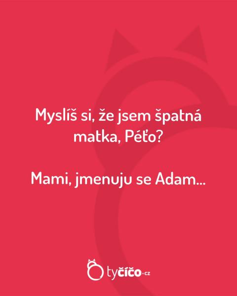     OBRÁZKY – Naše MEME #2218    