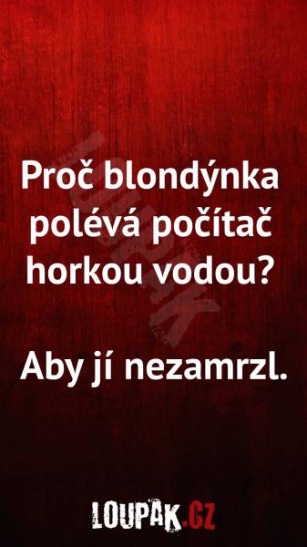    OBRÁZKY – Naše MEME #2237    