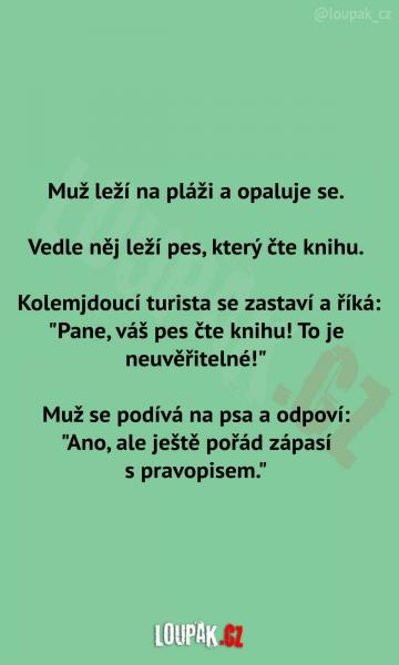     OBRÁZKY – Naše MEME #2227    