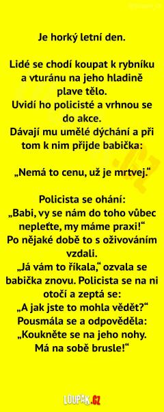     OBRÁZKY – Naše MEME #2234    