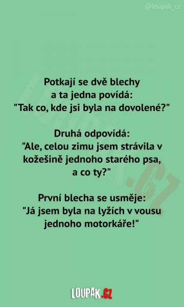     OBRÁZKY – Naše MEME #2236    